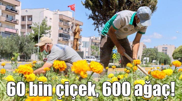 60 bin çiçek, 600 ağaç!
