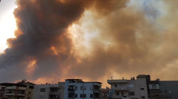 Aydın'da büyük yangın: 50'ye yakın ev tahliye edildi