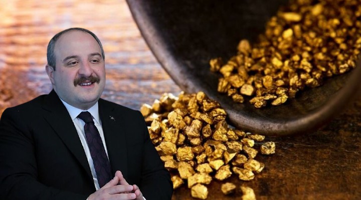 Bakan Varank: Ağrı’da 20 ton altın rezervi bulundu