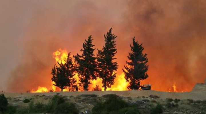 CHP'li Alban'dan 'orman yangınları' uyarısı: Bu yaz sabotaj olayları artabilir