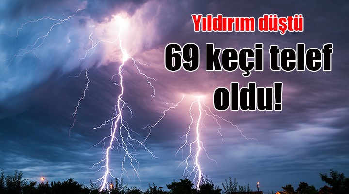 İzmir'de yıldırım düşmesi sonucu 69 keçi telef oldu