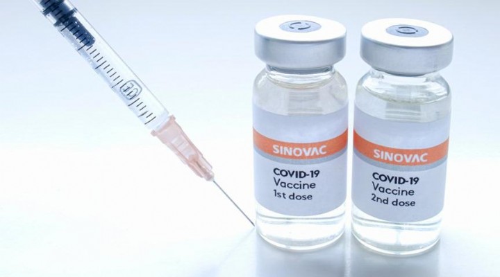 DSÖ'den Sinovac aşısına onay!