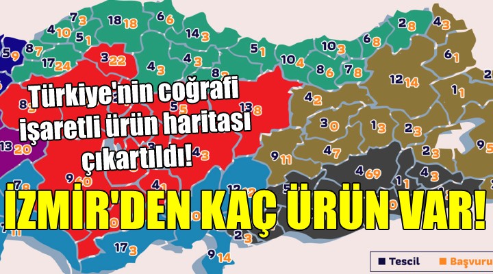 Türkiye'nin coğrafi işaretli ürün haritası çıkartıldı! İzmir'den kaç ürün var...