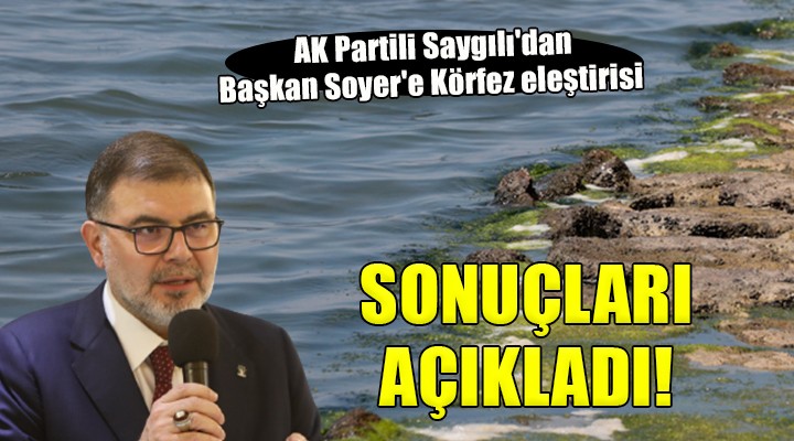 AK Partili Saygılı'dan Soyer'e Körfez eleştirisi