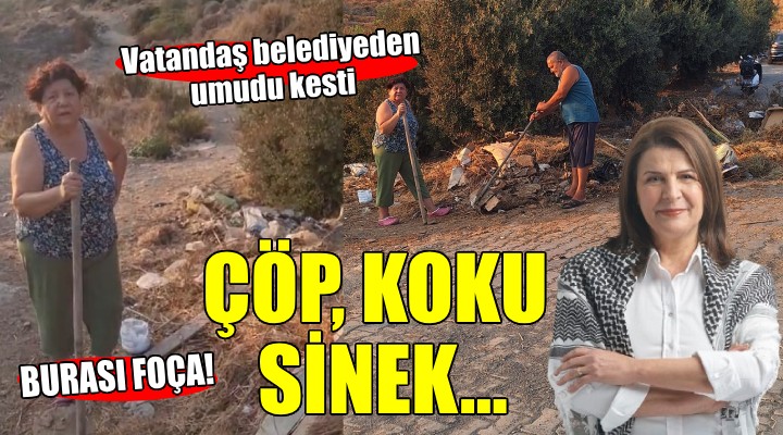 Burası Foça... Çöp, koku, sinek, böcek!