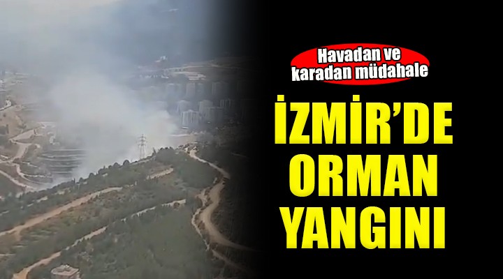 İzmir'de orman yangını...