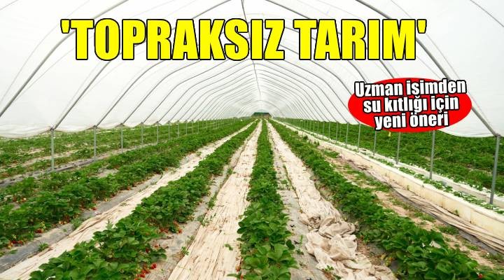 'Topraksız tarım, su kıtlığına karşı en etkili çözüm'