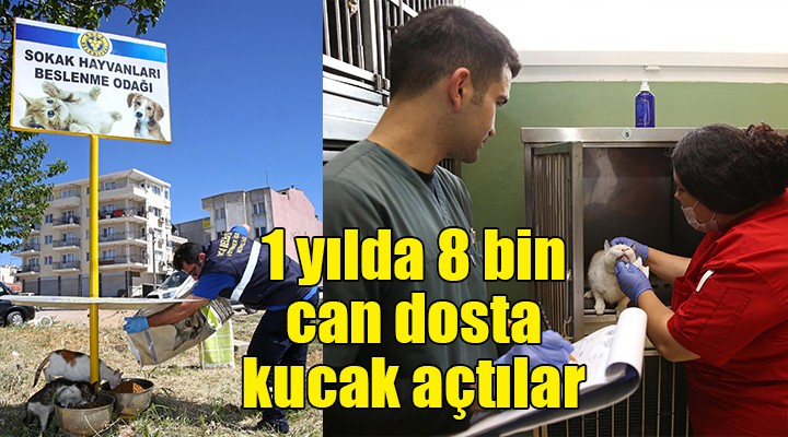 1 yılda 8 bin can dosta kucak açtılar