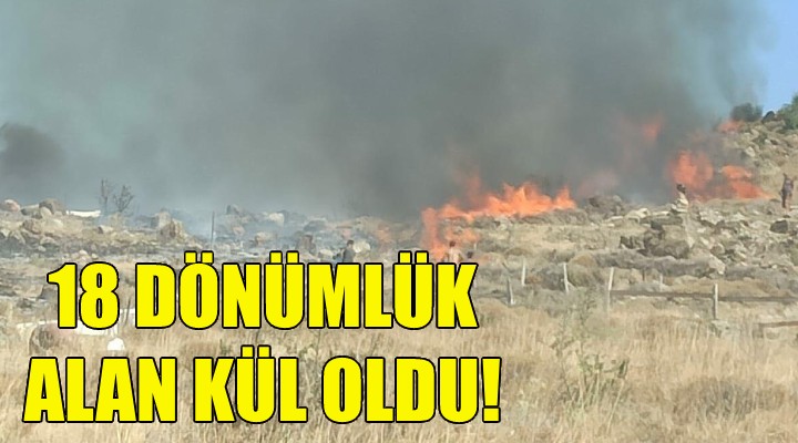 18 dönümlük alan kül oldu!