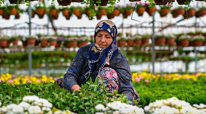 24. Uluslararası Bayındır Çiçek Festivali başlıyor