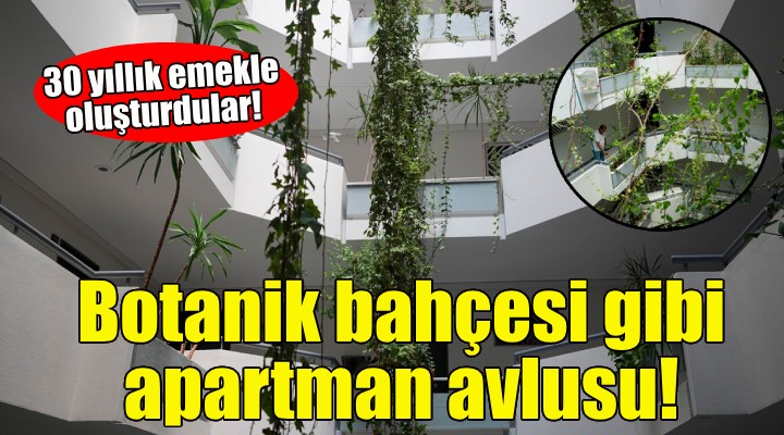 30 yıllık emek... Botanik bahçesi gibi apartman avlusu!