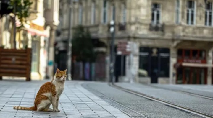 4 gün sokağa çıkma yasağı kararı