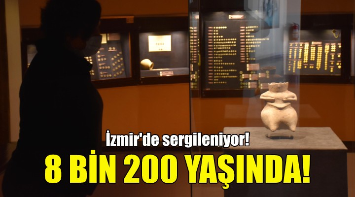 8 bin 200 yaşında... İzmir'de sergileniyor!