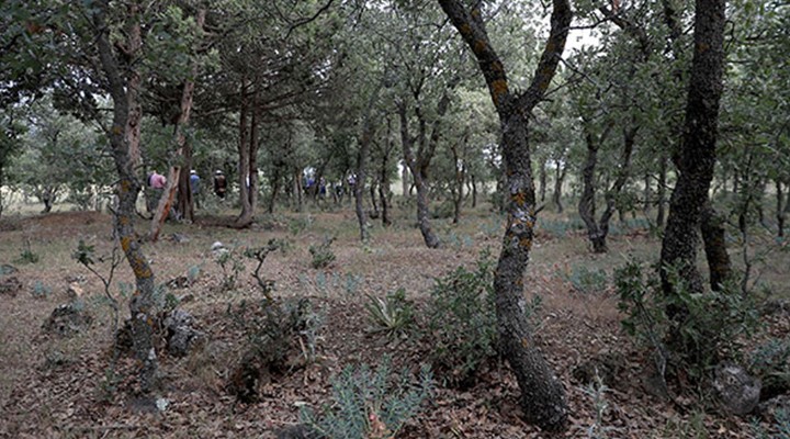 99 yıllık büyük acı... 83 Türk'ün mezarı tespit edildi