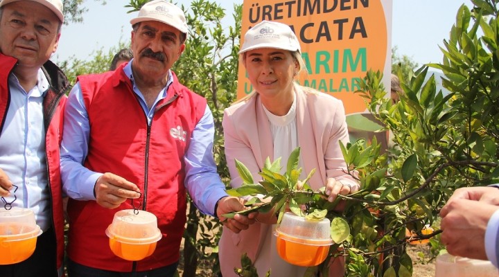 AK Partili Çankırı, Menderes'te muhtarlarla buluştu!