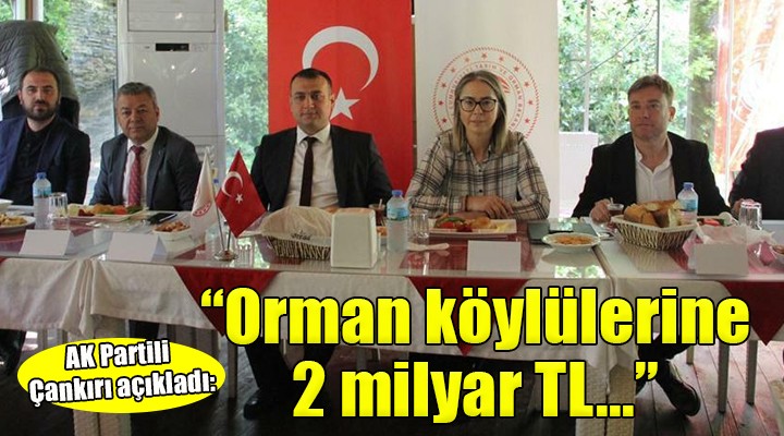 AK Partili Çankırı: ''Orman köylülerine 2 milyar TL verilecek''