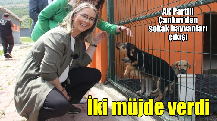 AK Partili Çankırı'dan İzmir'e sokak hayvanları için 2 müjde!