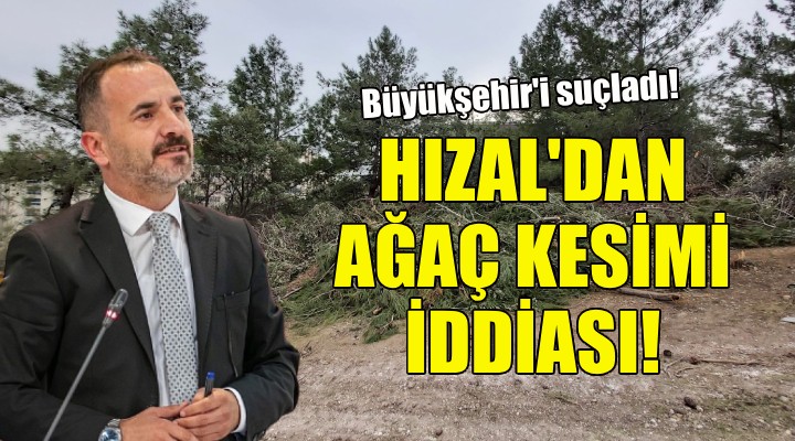 AK Partili Hızal'dan ağaç kesimi suçlaması!