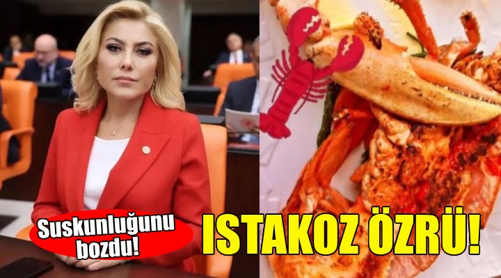 AK Partili Şebnem Bursalı'dan ıstakoz özrü!