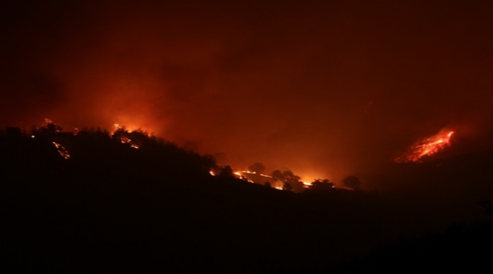 Adana'da orman yangını: 6 köy boşaltıldı!