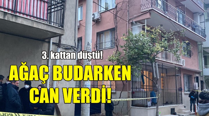 Ağaç budarken can verdi!