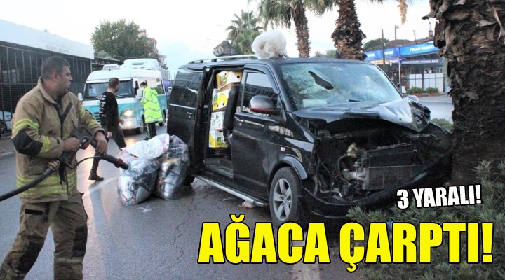 Ağaca çarptı: 3 yaralı!