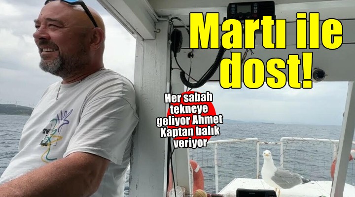 Ahmet kaptan ile martı 'Oluş'un dostluğu