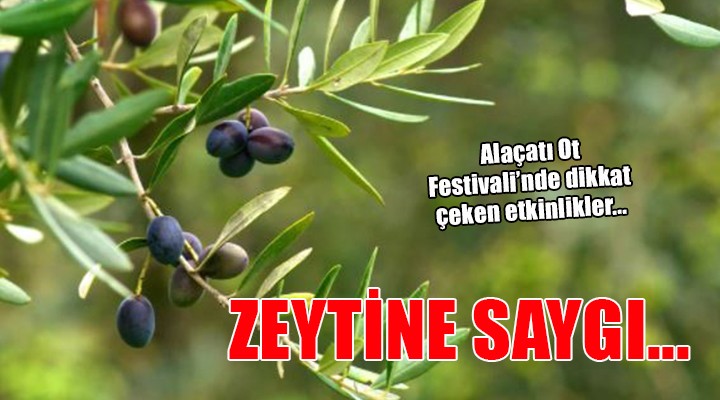 Alaçatı Ot Festivali'nde Zeytin'e saygı