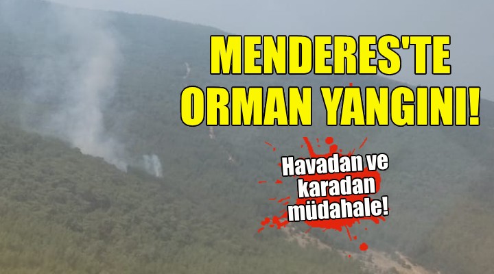 Alevler bu kez Menderes'ten yükseldi!