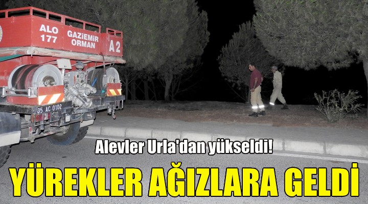 Alevler bu kez Urla'dan yükseldi!