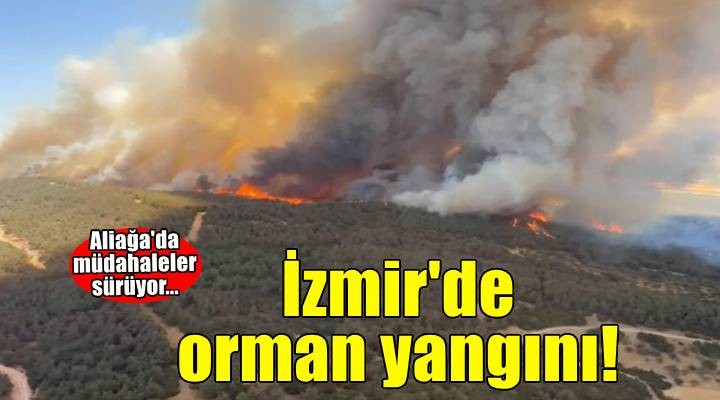 Aliağa'da orman yangını!