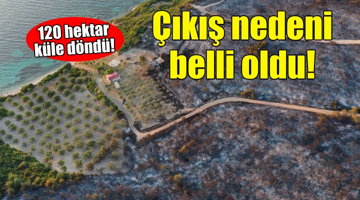 Aliağa'daki yangının çıkış nedeni belli oldu!