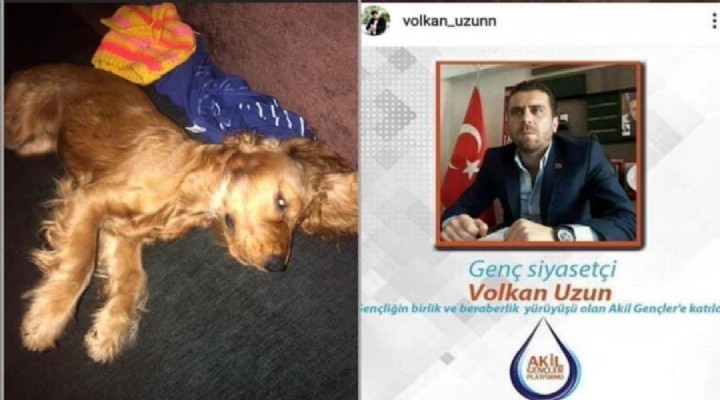 Ankara'da vahşet! Köpeğe tecavüz ederek öldürdü!