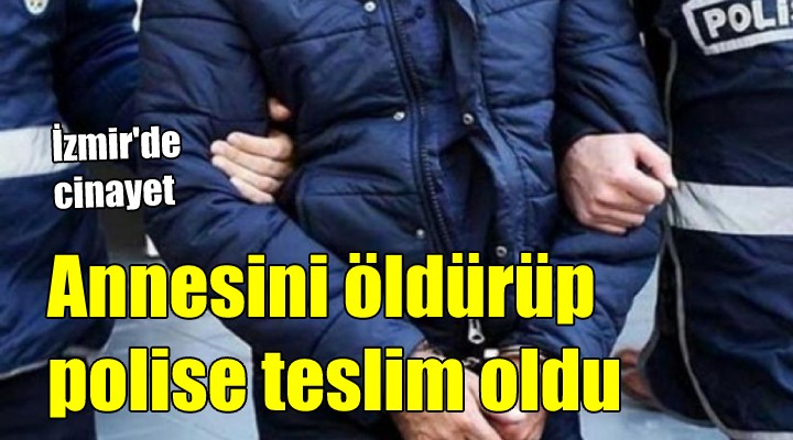 Annesini öldürüp devriye gezen polis ekibine teslim oldu!