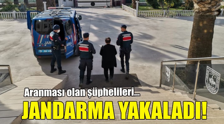 Aranması olan şüphelileri Jandarma yakaladı!