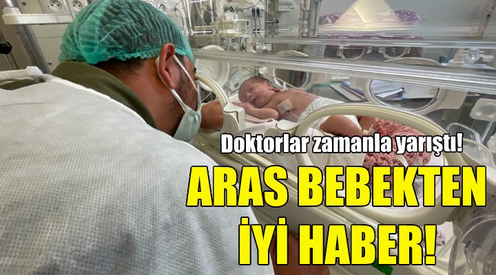 Aras bebekten iyi haber!