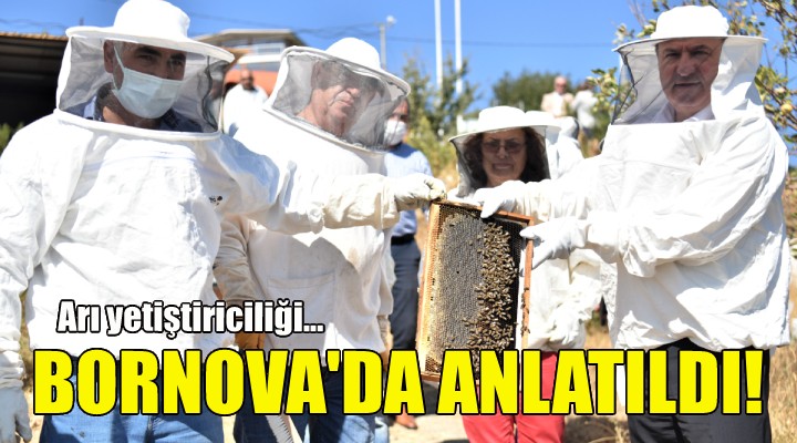 Arı yetiştiriciliği Bornova'da anlatıldı!
