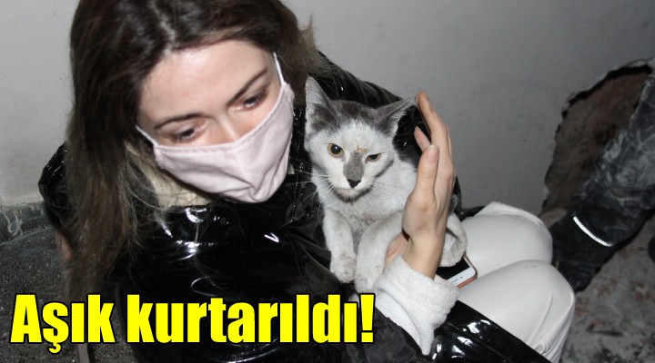 Aşık kurtuldu!