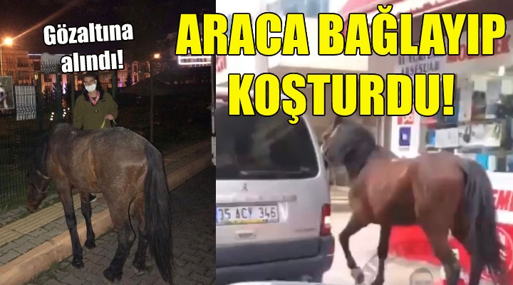 Atı, araca bağlayıp koşturdu!