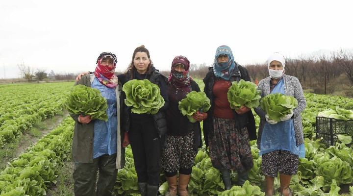 Aydın Büyükşehir Belediyesin'den çiftçilere destek!