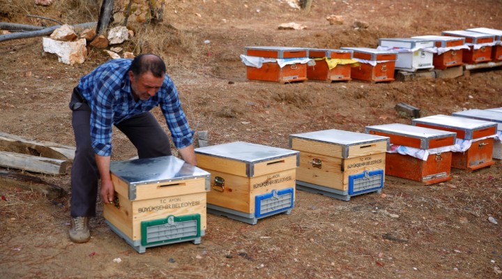 Aydın Büyükşehir'den arıcılara can suyu!