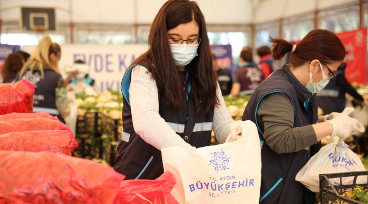 Aydın Büyükşehir'den kereviz ve havuç üreticisine destek!