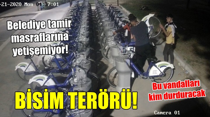 İzmir'de BİSİM terörü! BU VANDALLARI KİM DURDURACAK...