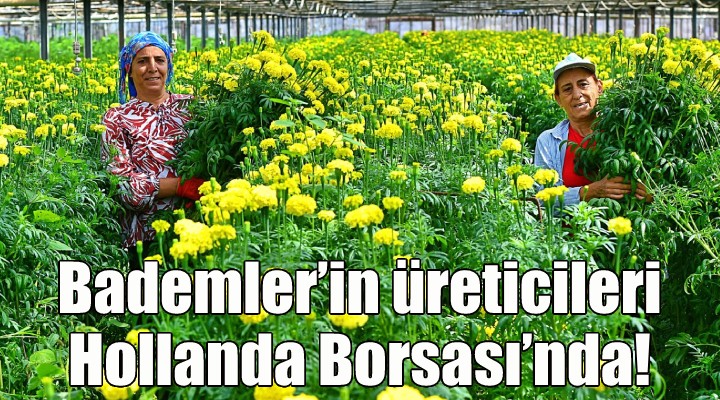 Bademler'in çiçek üreticisi Hollanda Borsası'nda!