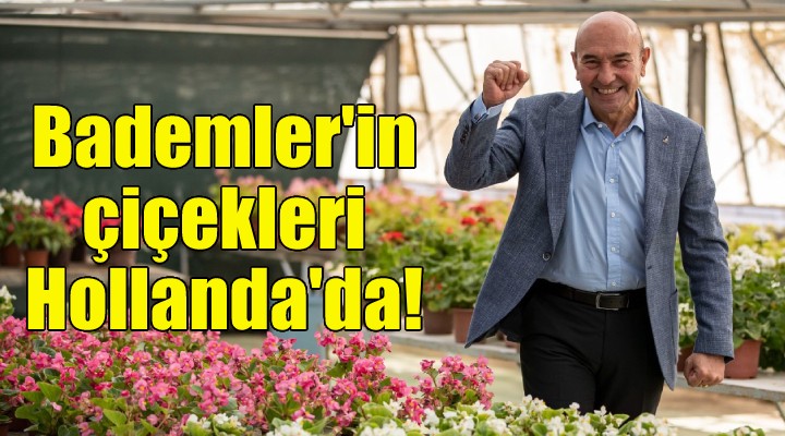 Bademler'in çiçekleri Royal Flora Holland'da satışa sunuldu!