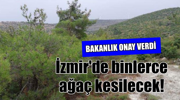 Bakanlık onay verdi... İzmir'de binlerce ağaç kesilecek!