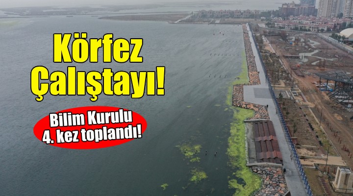 Bakanlıktan İzmir Körfezi için çalıştay!