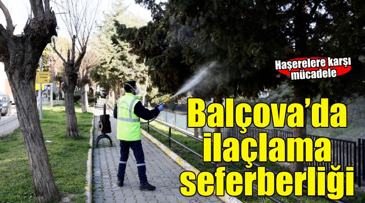 Balçova'da ilaçlama seferberliği