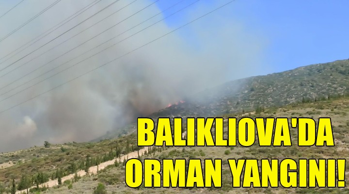 Balıklıova'daki yangın devam ediyor!