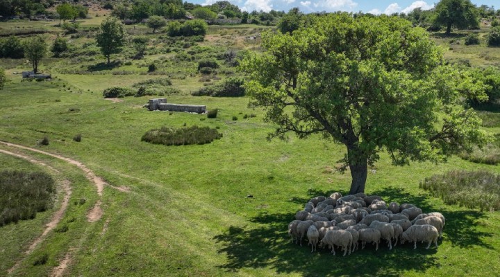 Başka Bir Tarım Sertifikasyonu uluslararası geçerlilik kazandı!